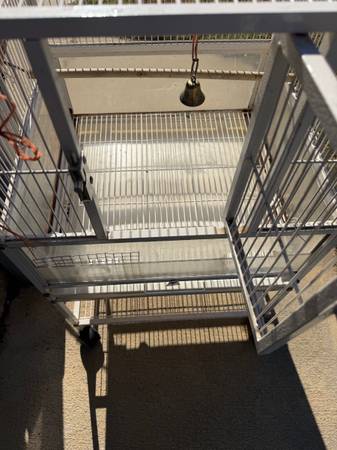 bird cage 1