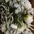 Large Bundle of Artificial Flowers – Perfect for Crafting! 3 thumbnail