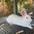 Meat Rabbits 4 thumbnail