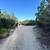 BANDERA RESIDENTIAL LOT FOR SALE 6 thumbnail