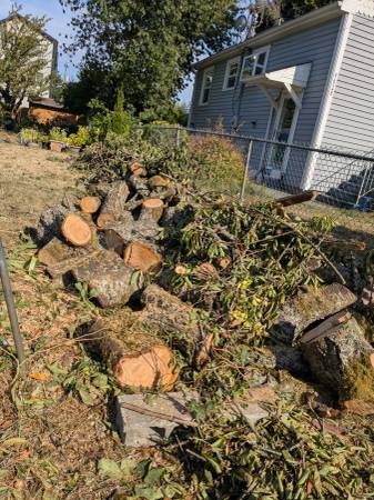 Free wood (Seattle)63874561304193121