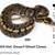 Wanted: Adult Female Clown Het DG Ball Python 3 thumbnail