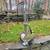 Vintage golf caddy good condition 3 thumbnail
