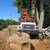 Tree Removal Fully licensed and insured 5 thumbnail