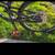 Habit 4 Mountain Bike with Kryptonite U-Lock 18 thumbnail