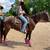 Black Gaited Gelding 8 YEAR OLD ❤️ Solid Trail Horse. 7 thumbnail