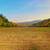 Multiple Lots OR Entire Farm * Owner Finance 2 thumbnail
