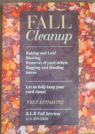 B.L.R Fall Clean Up 1