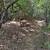 4 acres for sale 4 thumbnail