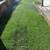 RAY'S LANDSCAPING 🇺🇸🇺🇸🌷🌲la, Jolla La mesa Check out our photos 6 thumbnail