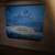 🎸 Seagull Coastline S6 Spruce Acoustic Guitar 5 thumbnail