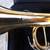 Jupiter Capital Edition CEB-660 Trumpet w Bach 7c Mouthpiece,Case 11 thumbnail