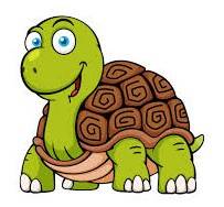 Found Tortoise (Ahwatukee)63383089752065120