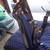 1946-48 chevrolet fleetline  rear pull down guard 4 thumbnail