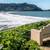 Views and Light! Ready on 9/20! Pre-Leasing NOW! Parking/Fitness Rm. 22 thumbnail