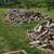 Ash firewood 2 thumbnail