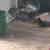 Kitties and cats 2 thumbnail
