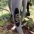 saris bones bike rack hold 3 bikes fits any car 2 thumbnail