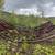Trussed Quonset arches 1 thumbnail