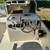 2017 Beachcat 230 Pontoon w/ Yamaha Four Stroke 200H Motor & Trailer 10 thumbnail