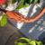 PLANT SALE 4 thumbnail