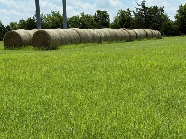 Hay-4x5 Coastal Round Bales 1