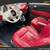 2013 FIAT 500 -Financing Available! 9 thumbnail