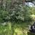 Brush Mowing / Forestry Mulching 10 thumbnail