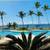 Deleite al despertar con espectacular vista al mar! 11 thumbnail