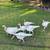 Rare young Heritage pair Beltsville white Turkey 9 thumbnail