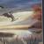 Ruane Manning “Migration South” 22" x 18" Tall Framed Art Geese 4 thumbnail