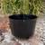 Antique Three Leg Iron Kettle / Cauldron - 100 years old 5 thumbnail