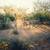40 acres located inside Tohono O'odham Indian Reservation 11 thumbnail