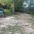 Back yard clean up 3 thumbnail