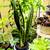 So Many Pretty Plants, starting at $5 21 thumbnail