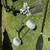 Hobbie Kayaks and Trailer (can be  individual ) 12 thumbnail