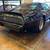 1981 Pontiac Trans Am Bandit Special Edition SKU:AA1001 7 thumbnail