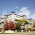 2 Bedroom, 2 Bath Condo in Downtown Kelowna 22 thumbnail