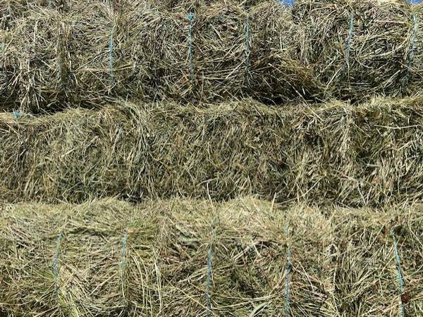 2025 2nd cutting, grass, alfalfa, clover hay 1