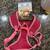 Dog Harnesses - Small & Medium 9 thumbnail