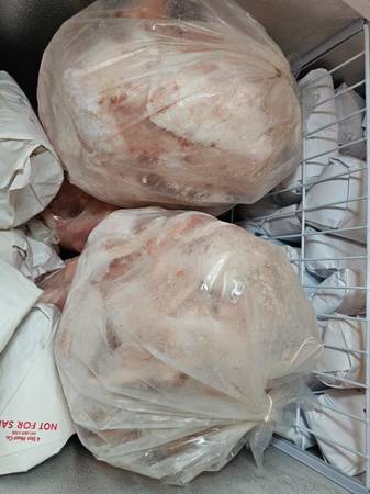 Pork fat - unrendered lard 1