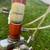 FOLDING BIKE. J C PENNY AUTO MINI 3 thumbnail