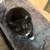 Free kitten 3 thumbnail