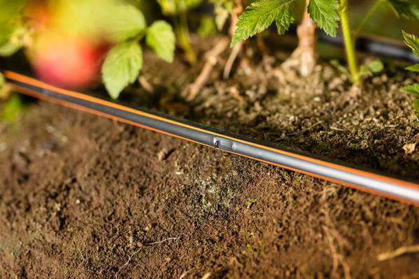 Drip Irrigation Systems for High-Yield Farming in Gujarat 1