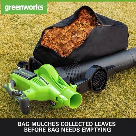 Greenworks leaf blower or suction leaf into bag 1