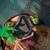 Hermit Crab Cage 5 thumbnail