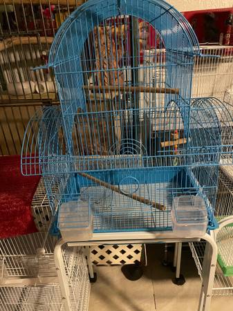 Bird cages 1