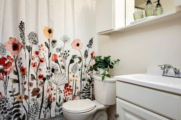 $1,269 / 1br - 468ft2 - Unleash boundless possibilities: Your dream 1 BR is just a call away. (Portland)63841707565827121