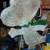 SNOOPY DOG Christmas Lawn Porch Decoration Holiday Outdoor Light Up 10 thumbnail