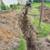Mini Excavator Services 8 thumbnail
